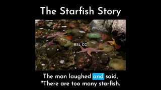 The Starfish Story | Educational Stories