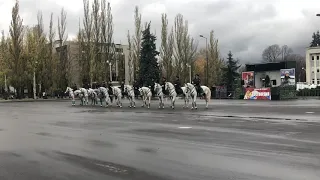 Конная полиция. 1 оперативный полк