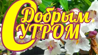 С Добрым Утром! Хорошего дня! Очень красивое музыкальное пожелание ДОБРОГО УТРА!