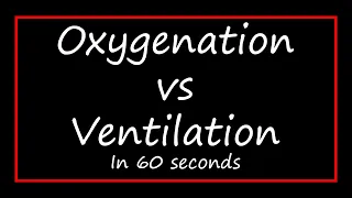 Difference Between Oxygen and Ventilation (Oxygenation VS Ventilation)