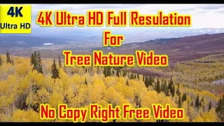 4K Ultra HD Tree Nature Amazing Nature Documentary/ High-Quality /Unusual animals, birds, plants