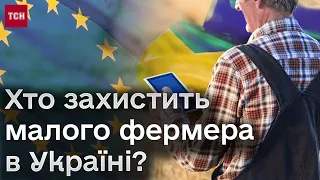 ❓ Українські малі фермери мають доступ до ринків ЄС? А польські товари можемо заборонити?