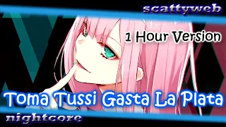 Nightcore - Toma Tussi Gasta La Plata [1 Hour Version]