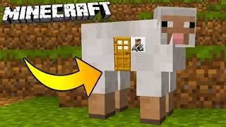 HOW TO LIVE INSIDE A SHEEP IN MINECRAFT!