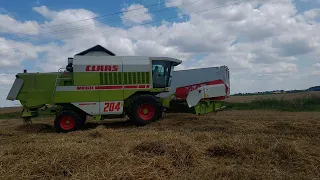 żniwa 2022  u Adriana&JOHN DEERE 1188 &Łukasza& Claas Mega 204