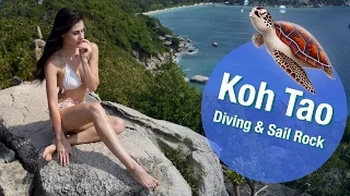 KohTao Дайвинг в деталях | Sail Rock 🐠 | FreshMania Travel