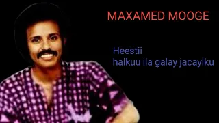 heestii halkuu Ila galay jacaylku || Maxamed mooge liibaan (Kaban) with lyrics #jeestoofficial