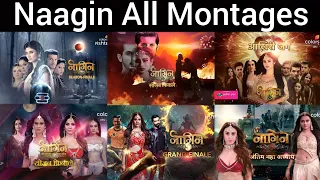 Naagin 1,2,3,4,5,6 All Montage