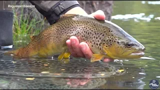 Pesca Rio Malleo 3 de 3 Aguas Arriba ESPN para Latinoamérica T:11 E: 17 2018