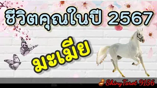 ปีมะเมีย🦄ชีวิตคุณในปี 2567🪴🪔‎@ShinyTarot9156 