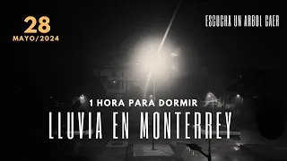 Relajante lluvia en Monterrey durante 1 hora para ayudarte a dormir (28 de Mayo 2024)