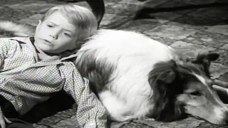 Lassie | The Crash | Lassie English Full Episodes | Old Cartoons | Videos For Kids