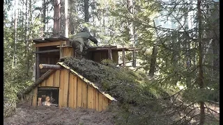 О КАКАЯ! Моя ЗЕМЛЯНКА ПРЕОБРАЖАЕТСЯ! Строим и едим... construction in the forest