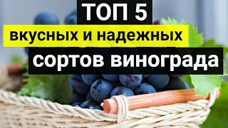 ТОП 5 вкусных и надежных сортов винограда, которые я пробовал, для средней полосы России.