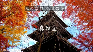 【4K】京都の紅葉【真如堂】Kyoto Japan Walk〡Autumn leaves　ASMR  2021