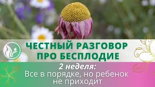 Эфир 2. Что делать, если все хорошо, но беременность не наступает. Эфир с Натальей Петрухиной