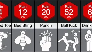 Comparison: Human Pain