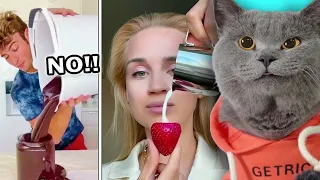 Let‘s Enjoy Some Funny Hacks From Oscar😻| Funny Cat TikTok Challenge  #oscarfunnyworld #funnycat  #9