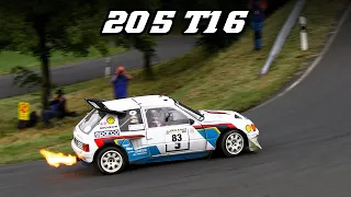 1984 Peugeot 205 T16 | Backfire, Accelerations | Eifel Rally Festival 2023