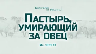 Проповедь: "Ев. от Иоанна: 57. Пастырь, умирающий за овец" (Алексей Коломийцев)