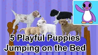 5 Playful Puppies Jumping on the Bed - Bright New Day Productions