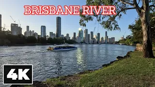 Brisbane River, Brisbane || [4K] Ambient Walk