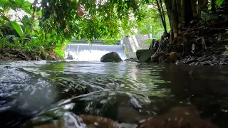 1 hour of relaxing sound of clear flowing water soothes the mind