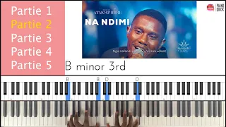 David Ize - Na Ndimi: Tutoriel Intermédiaire - Avancé PIANO QUICK