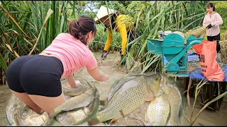 How Binh planted wet rice and released carp in the fields