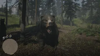 Red Dead Redemption 2 Staring Down a Grizzly 2.0