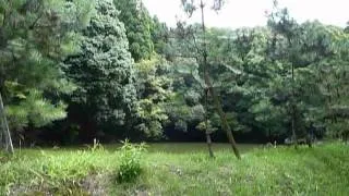 晩夏の嵯峨野散策4（Late summer Kyoto-Sagano walk）