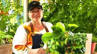 🌳Вертикальный сад  с искусственными цветами 🌳🌳🌳