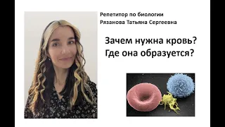 Лимфа это? База по крови для ЕГЭ/ОГЭ!