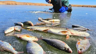 ЛОВИМ ЩУК, А ТУТ ВОБЛА ПОШЛА! НЕ ЗРЯ МОРМЫШКИ ВЗЯЛ НА РЫБАЛКУ С СЫНОМ НАШЛИ МЕРЕЖУ/СЕКРЕТ ЧТО В НЕЙ?