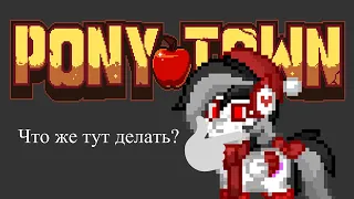 ЧЕМ МОЖНО ЗАНЯТЬСЯ В PONY TOWN?