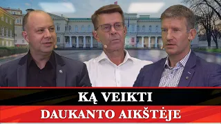 KĄ VEIKTI DAUKANTO AIKŠTĖJE ?