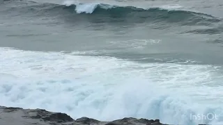 Bronte & Tama Surf Check Wednesday February 7th 2024 7:30am