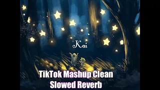 Slowed TikTok Mashup 2021*Clean*