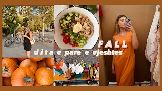 Dita e pare e vjeshtes | Shkoj ne tregun me te perdorura, supermarket haul | Vlog