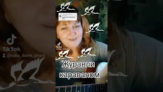 Журавли караваном все на юг улетают #песниподгитару #дворовыепесни #гитара #девушкасгитарой