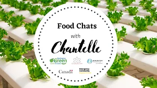 Food Chats with Chantelle: Cracks in the System & Food Innovation