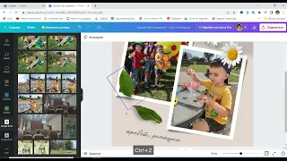 Как сделать коллаж в canva