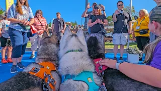 The Dogs Are SO Excited to Meet Everyone At the RV Show!