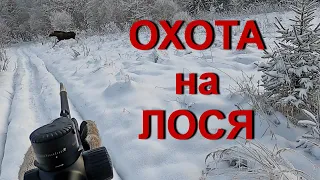 Охота НА ЛОСЯ. ВЫСТРЕЛЫ на охоте.