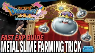DRAGON QUEST 11 | FAST EXPERIENCE / METAL SLIME FARMING GUIDE
