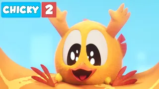 Where's Chicky? | CHICKY GOES WILD | Chicky Cartoon in English for Kids
