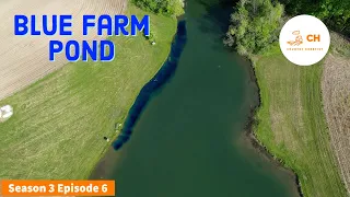 Applying Blue Farm Pond Dye Blue Bayou