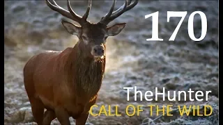 Охота TheHunter Call of the Wild # 170