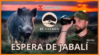 ✅ ESPERA DE JABALÍ con El Caldén | Probando el monocular térmico HIKMICRO FALCON FQ50