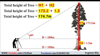 how to find height of tree by angular instrument